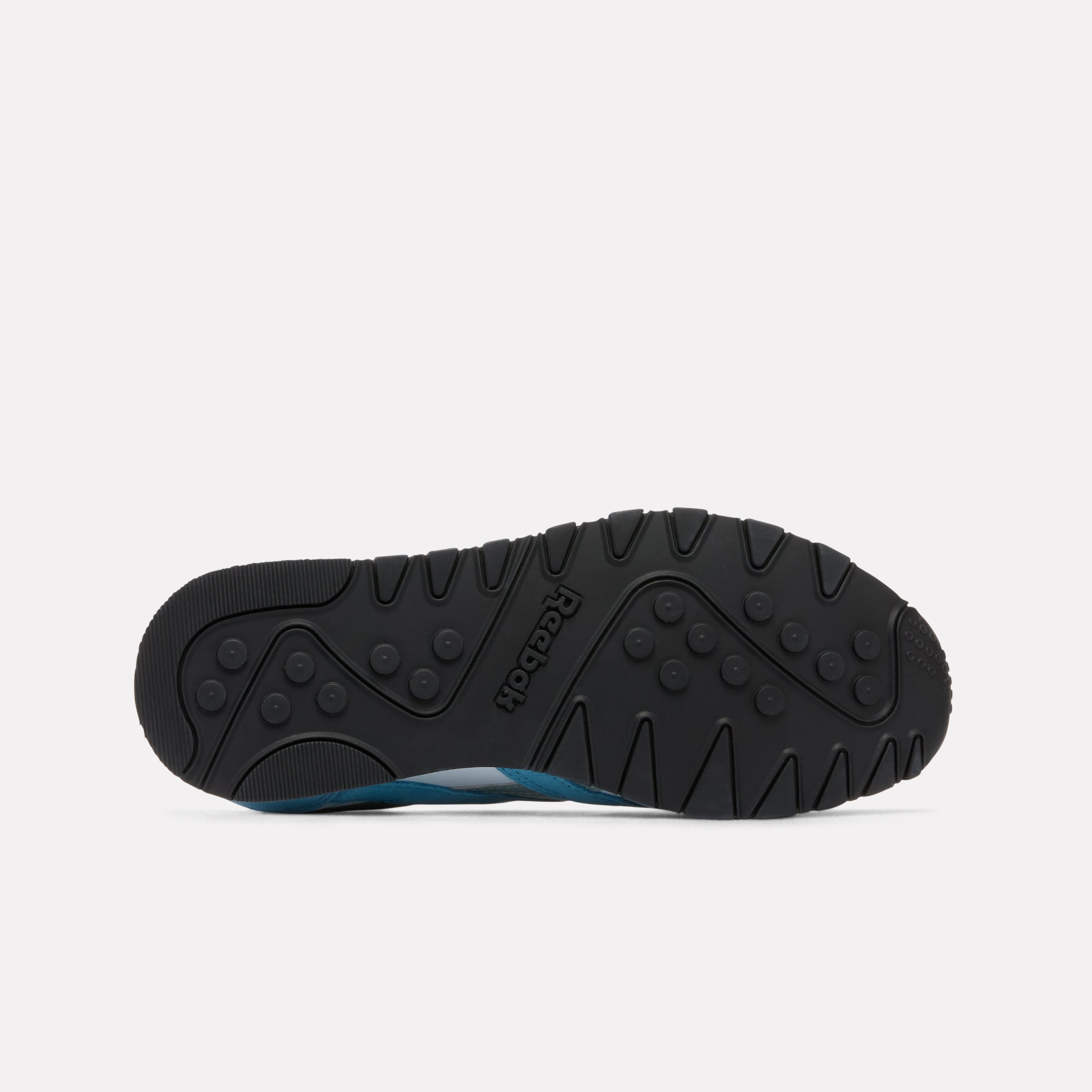 Reebok Classic Nylon 'Warppedblue' 100245060