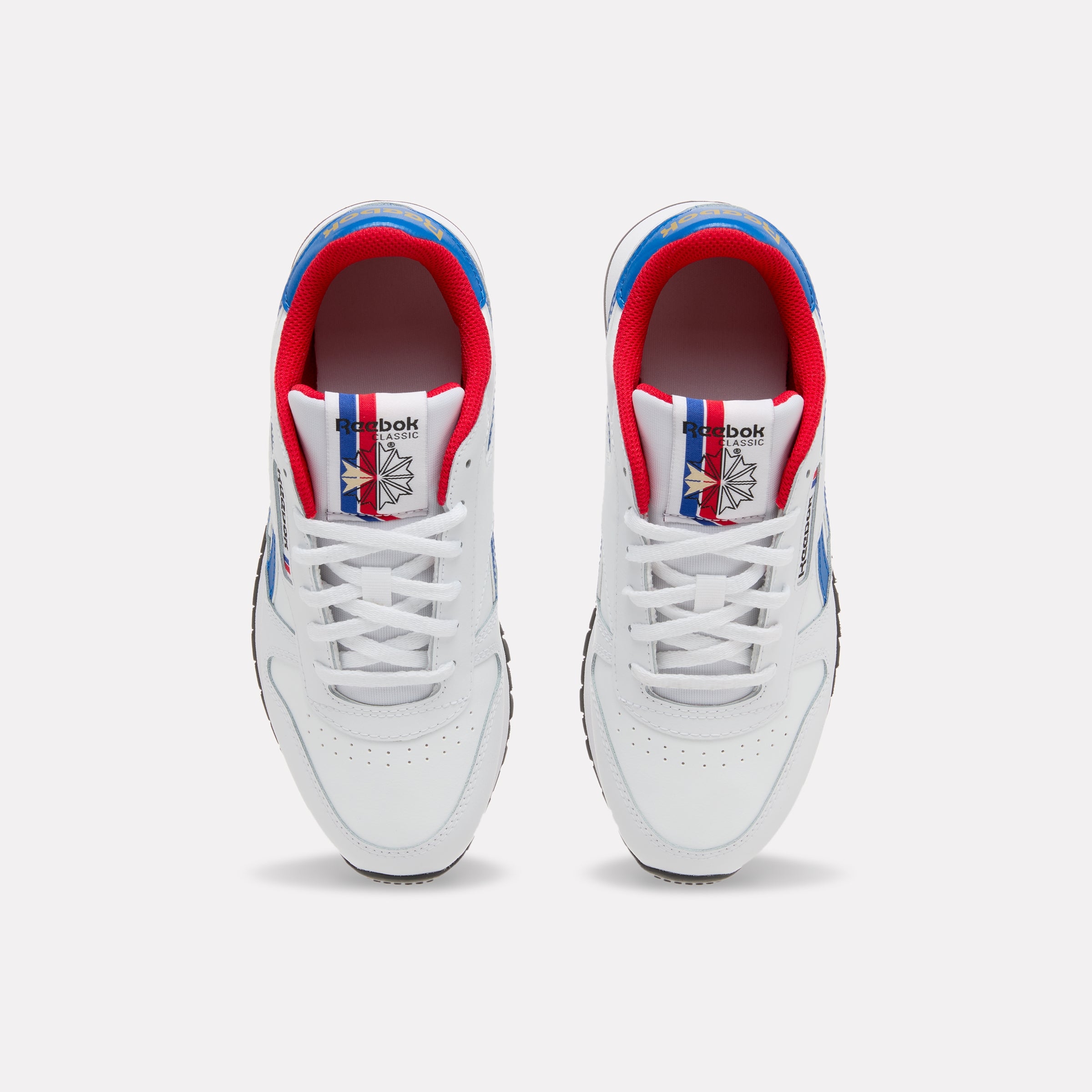 Reebok Classic Leather Junior 'Ftwrwhite' 100246219