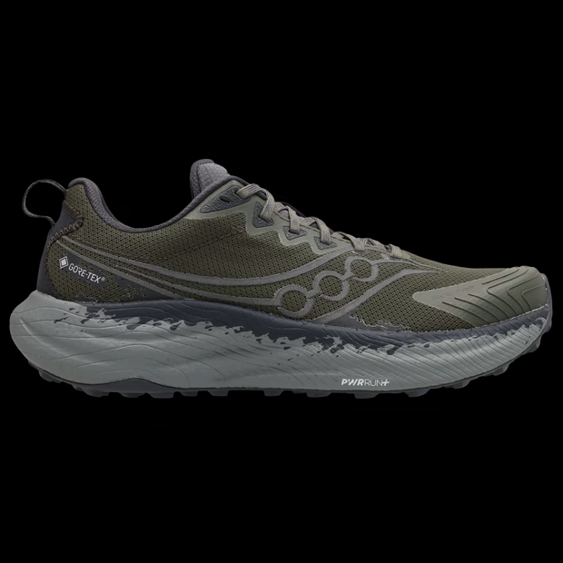 Saucony Ride Tr3 Gtx 'Silver' S101118-1008