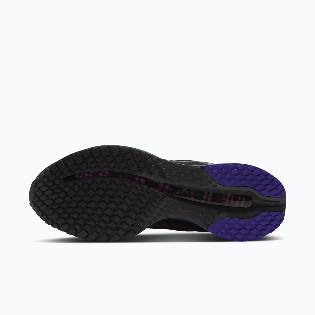 Nike Pegasus Premium 'Black' HQ2593-013
