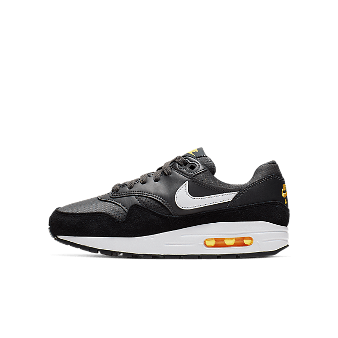 Nike Air Max 1 807602-017