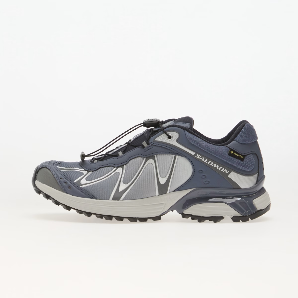 Salomon XT-Whisper GTX Grisaille L45397300