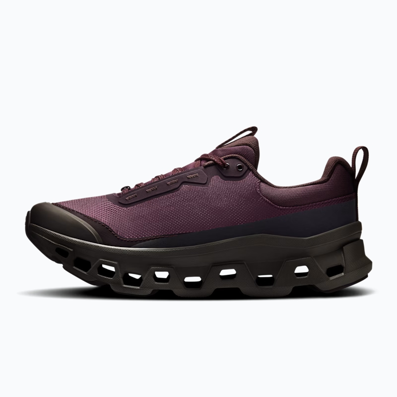 On Cloudmonster 1 Waterproof 'Brown' 3WG10635381