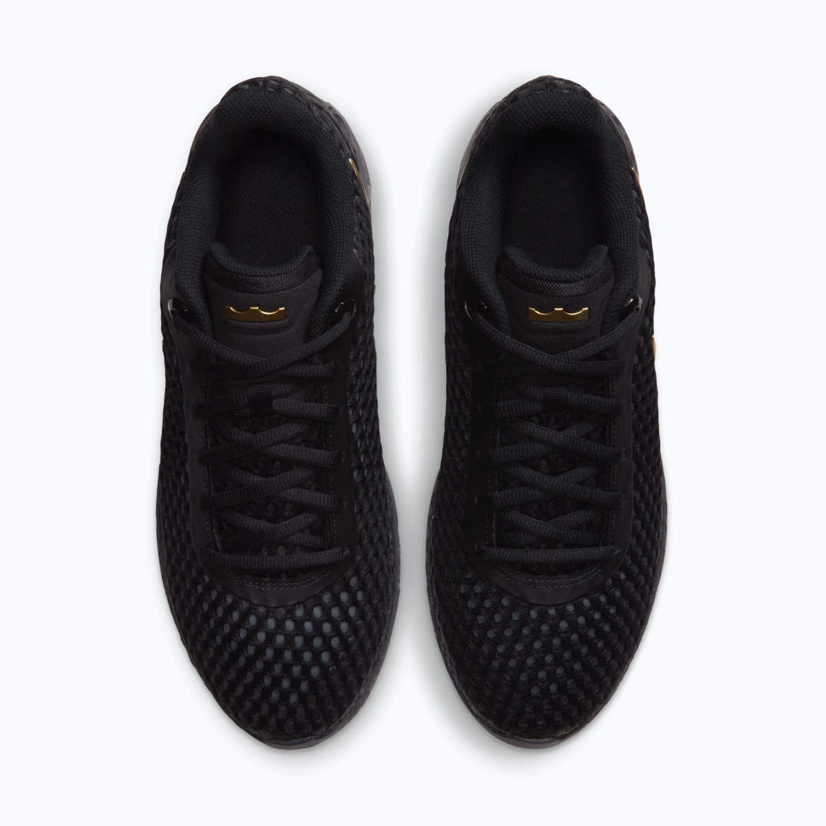 LeBron Witness X 'Black' IQ9847-001