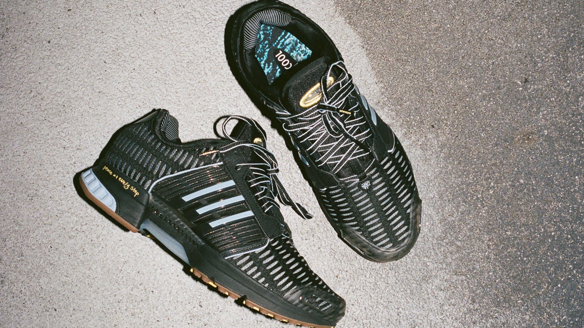ADWYSD bringt eine Wetterkarte auf den adidas Climacool 1
