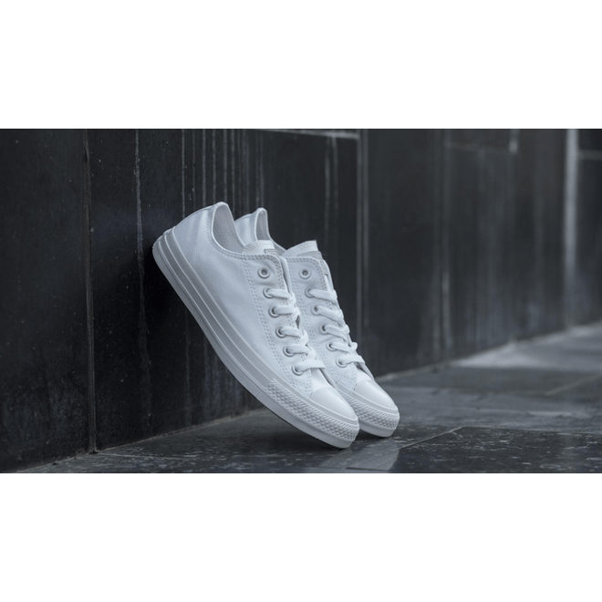 Converse Chuck Taylor All Star Seasonal White Monoch 1U647C