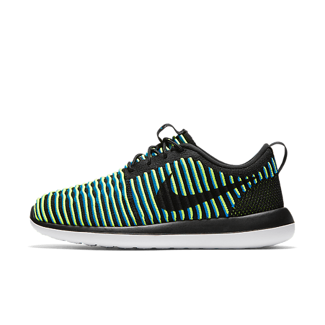 Nike W Roshe Two Flyknit 844929-003