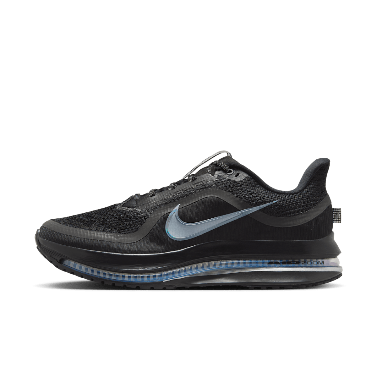 Nike Pegasus Premium 'Black & Metallic Silver' HQ2592-005