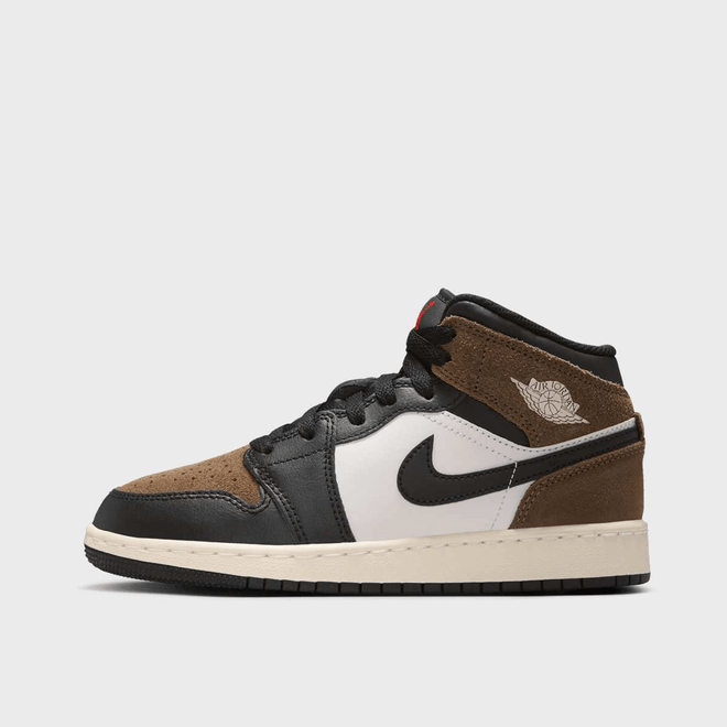 Air Jordan 1 Mid (GS) DQ8423-007