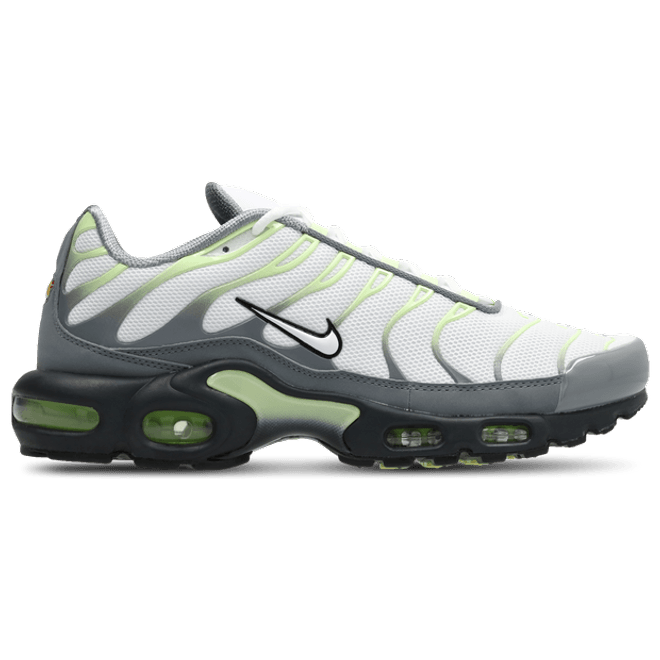 Nike Tuned Grey IR1999-065