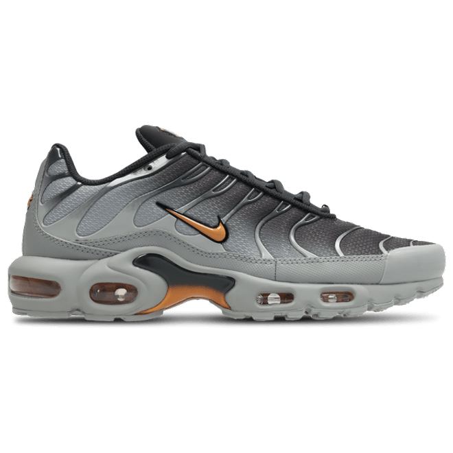 Nike Tuned Grey DM0032-037