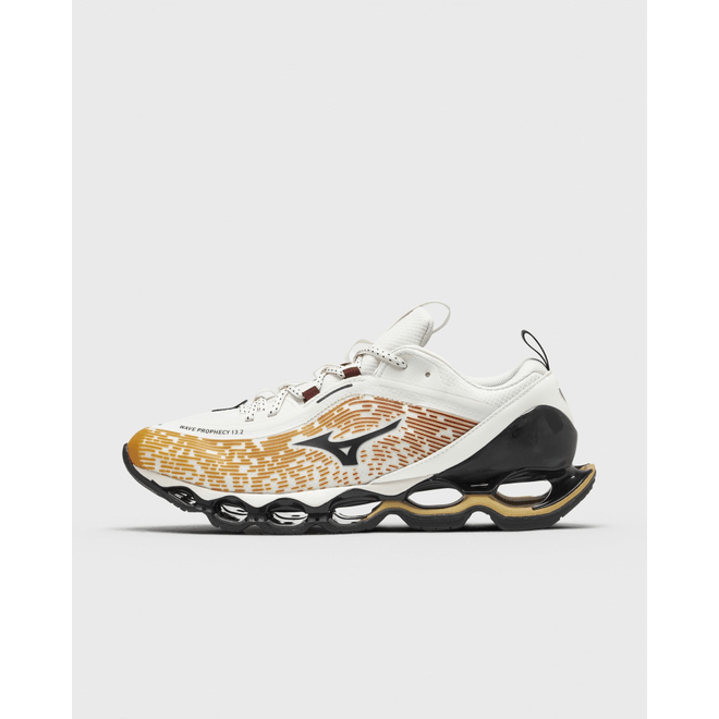 Mizuno Wave Prophecy 13.2 D1GA260H02