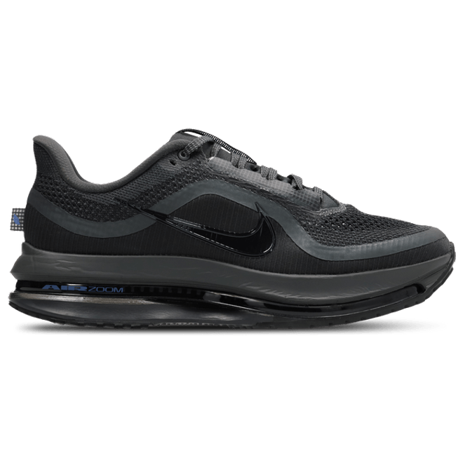 Nike Pegasus Black HQ2592-015