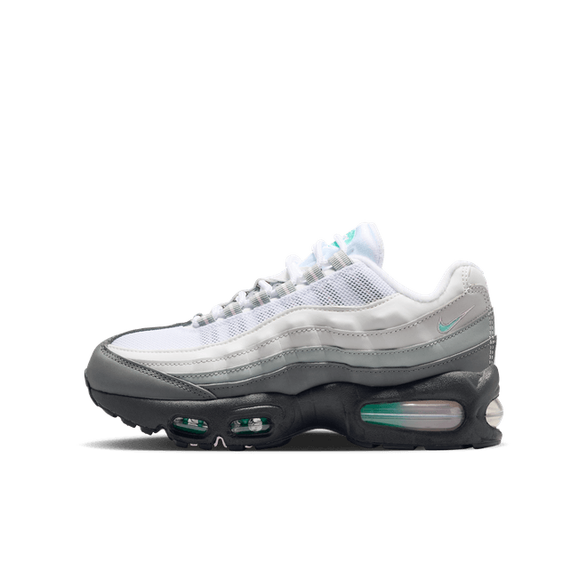 Nike Air Max 95 IR1481-060