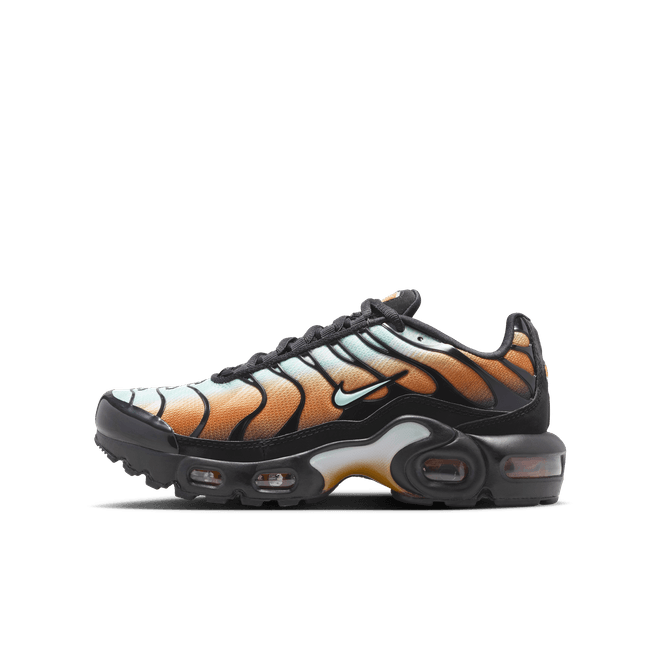 Nike Air Max Plus SE Older Kids' IU8191-001