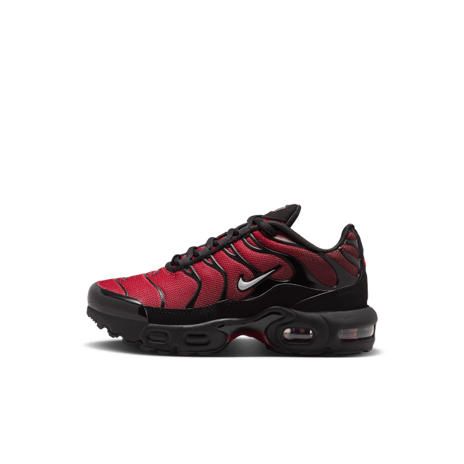 Nike Air Max Plus FZ0023-606