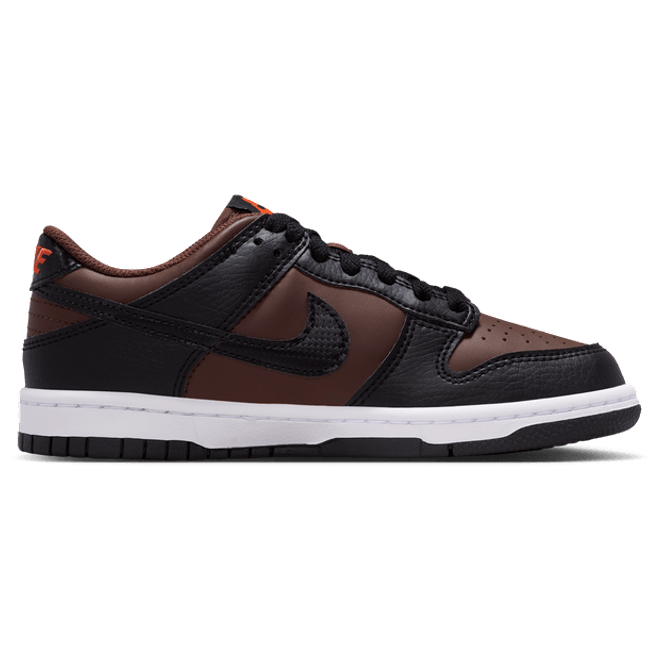 Nike Dunk Brown IQ0311-216
