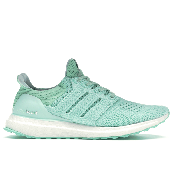 adidas Consortium UltraBOOST Waves BB1141