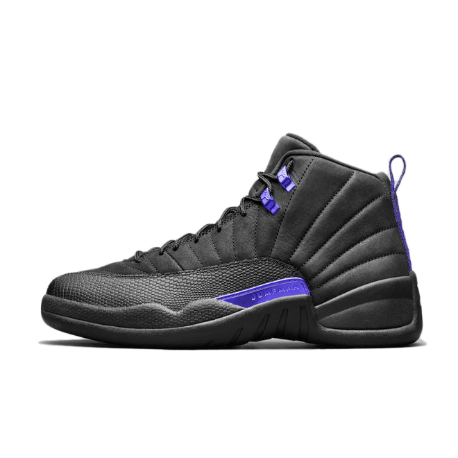 Air Jordan 12 'Black Concord' CT8013-005