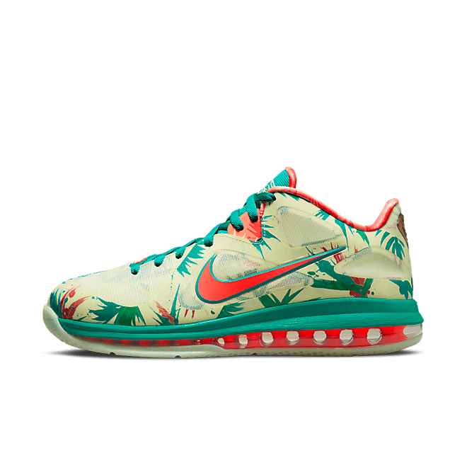 Nike Lebron Ix Low DO9355-300