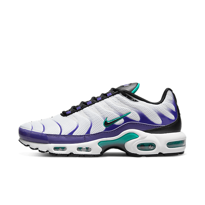 Nike AIR MAX PLUS DM0032-100
