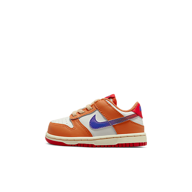 Nike Dunk Low DH9761-101