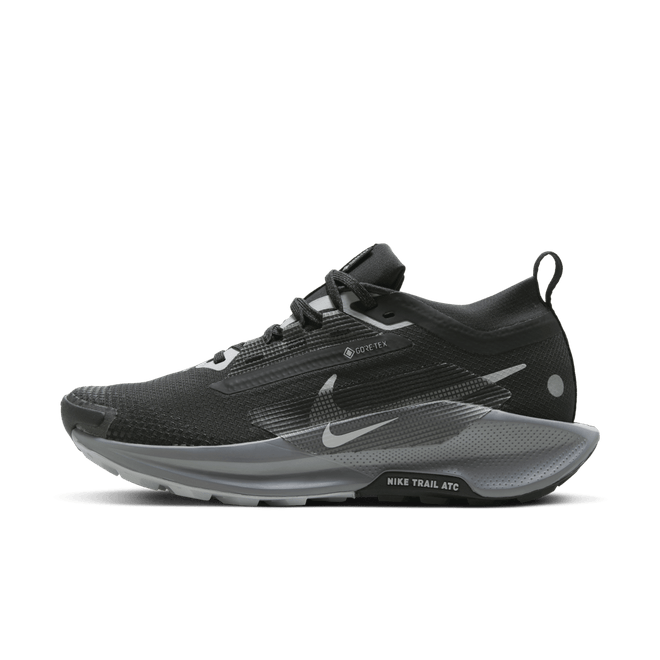 Nike Wmns Pegasus Trail 5 5 GORE-TEX 'Black Wolf Grey' FQ0912 001