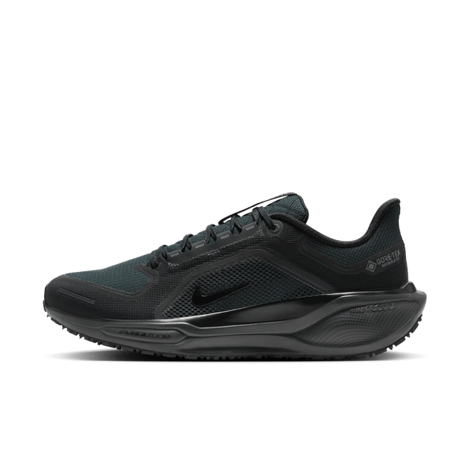 Nike Pegasus 41 GTX Road 'Black' FQ1356-001