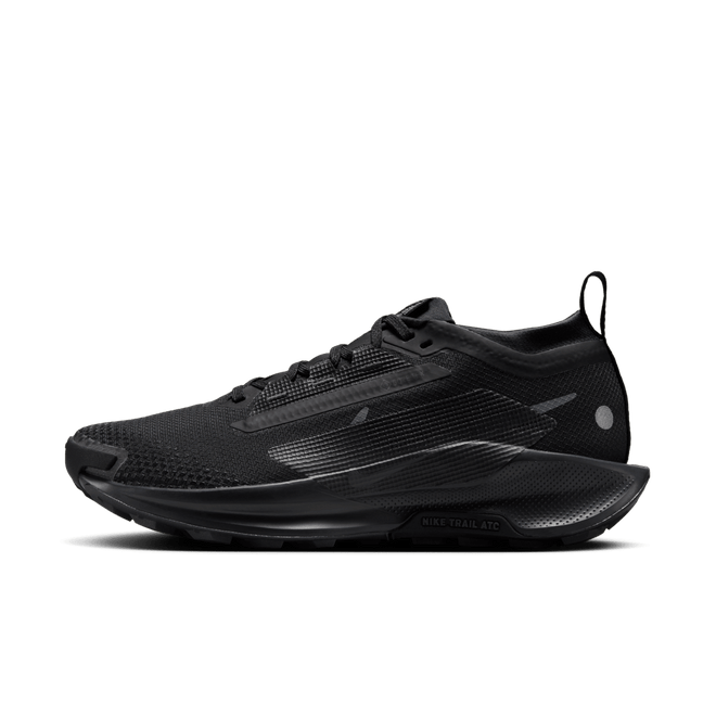 Nike Pegasus Trail 5 GORE-TEX Waterproof Trail-Running FQ0912-002