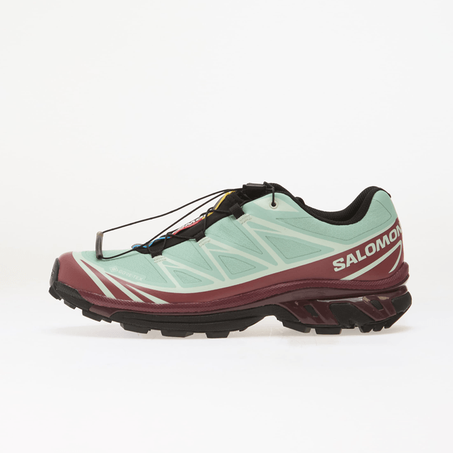 Salomon XT-6 GTX Lichen L49306700