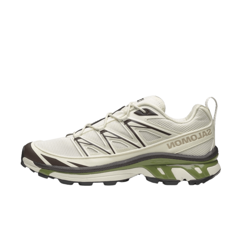 Salomon Advanced XT-6 Expanse L47808500