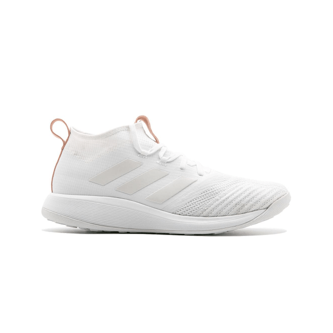 Adidas Ace 17+ Kith TR CM7893