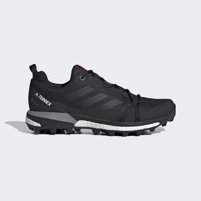 Adidas Terrex Skychaser LT Goretex F36119