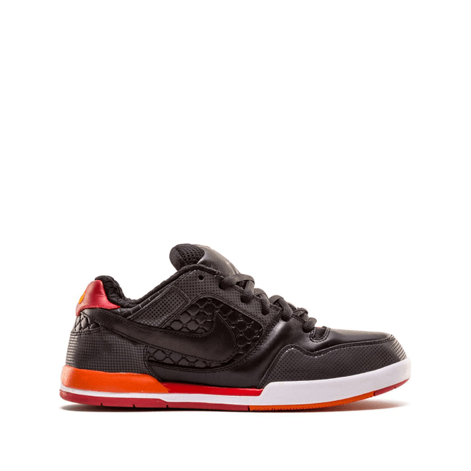 Nike SB Fuji Rod 318359-061