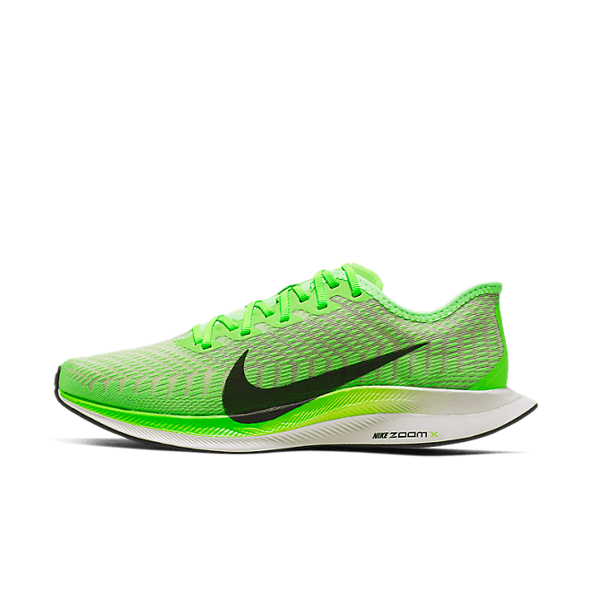 Nike Zoom Pegasus Turbo 2 AT2863-300