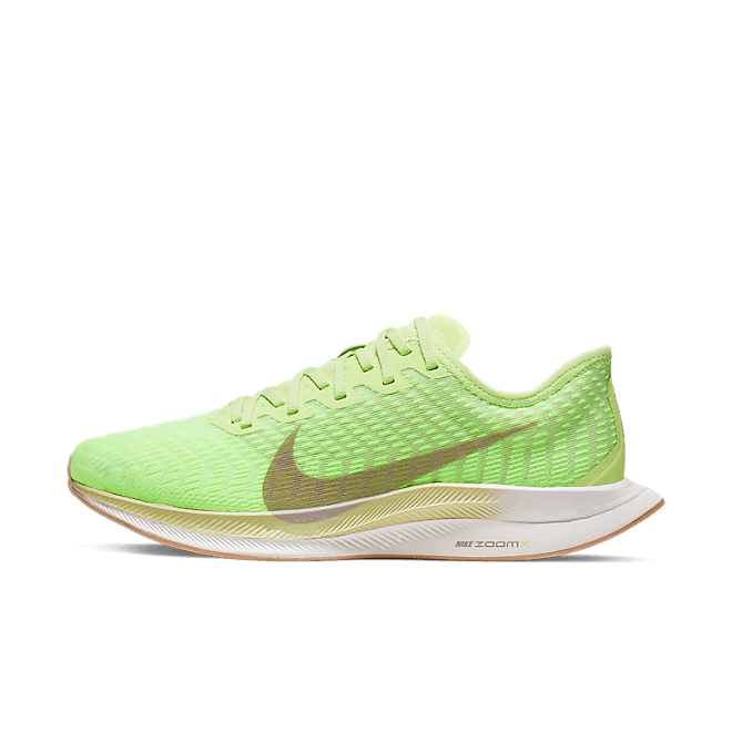 Nike Zoom Pegasus Turbo 2 AT8242-300