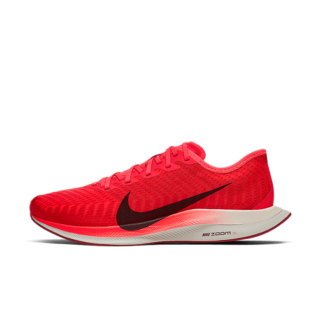 Nike Zoom Pegasus Turbo 2 AT2863-600