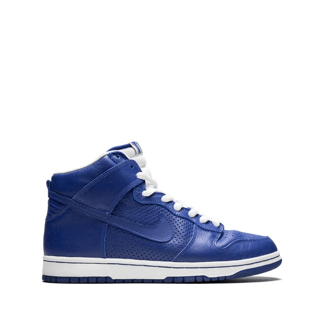 Nike Dunk Pro SB 305050-441