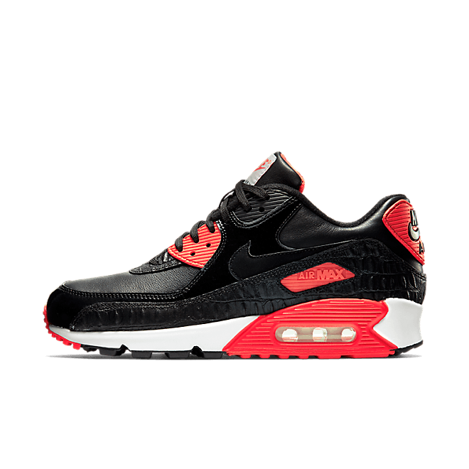 Nike Air Max 90 Anniversary 725235-006