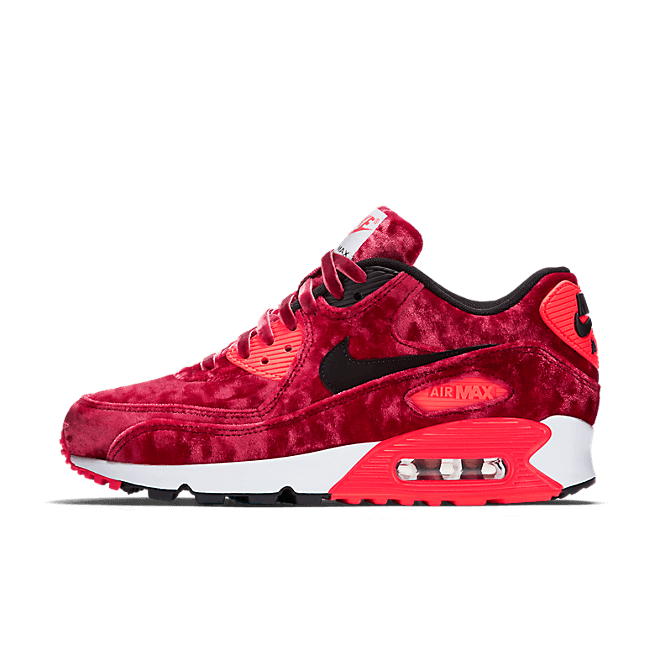 Nike Air Max 90 Anniversary 726485-600