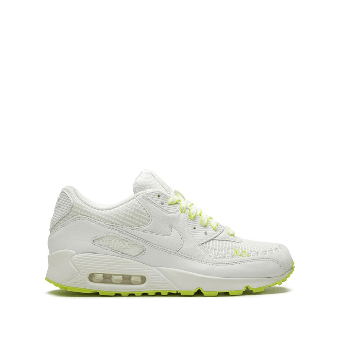 Kaws x Nike Air Max 90 346115-111
