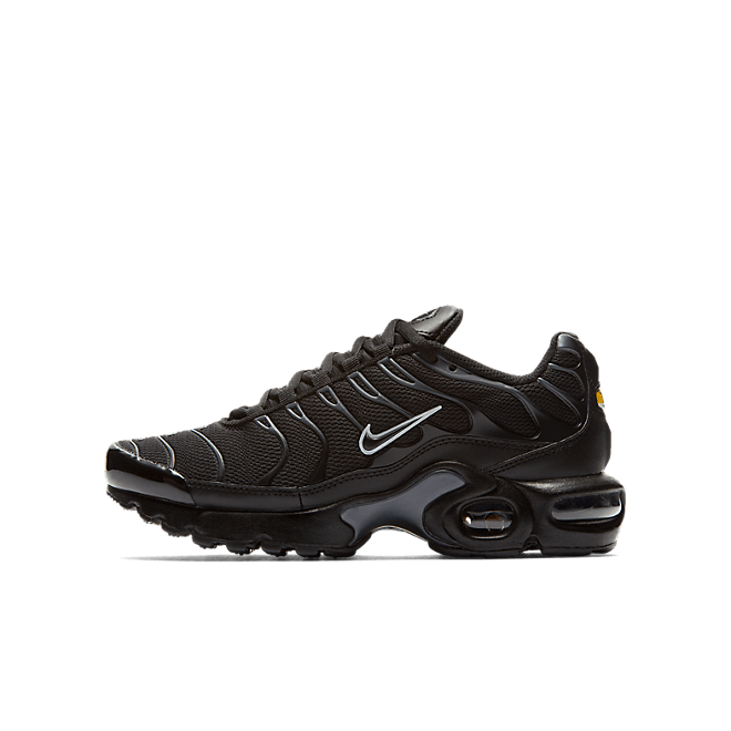 Nike Air Max Plus (GS) 655020-053