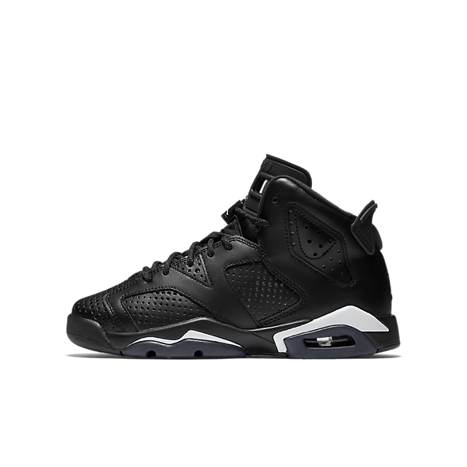 Jordan Air Jordan 6 Retro BG 384665020