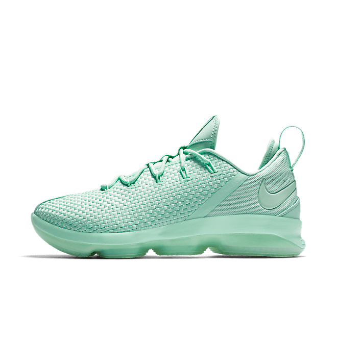 Nike Lebron XIV Low 878636-300