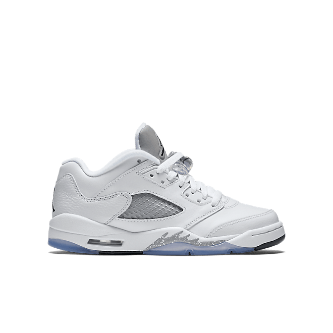 Jordan Air Jordan 5 Retro Low GG 819172122