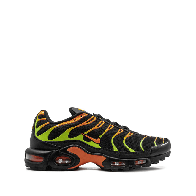 Nike Air Max Plus low top 852630-033