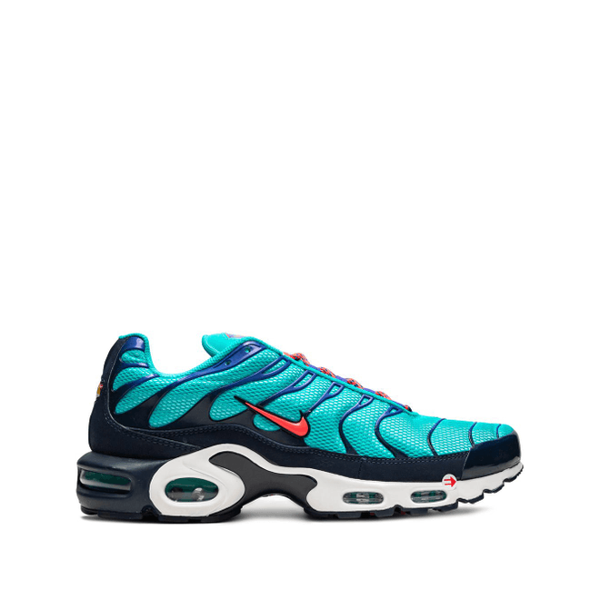 Nike Air Max Plus AV7940-300