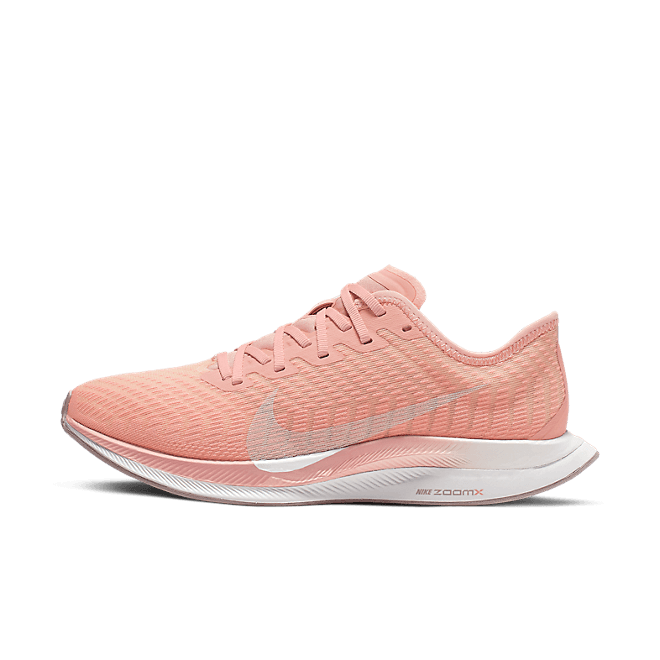 Nike Zoom Pegasus Turbo 2 AT8242-600