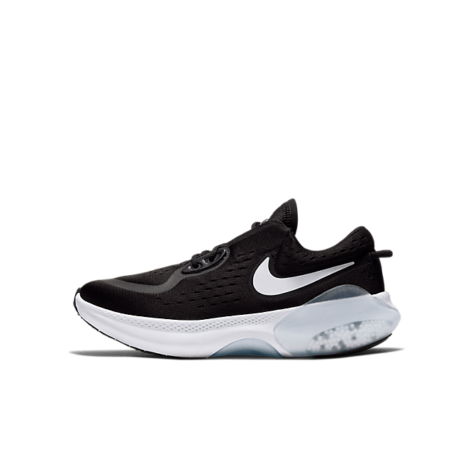 Nike Joyride Dual Run CN9600-020