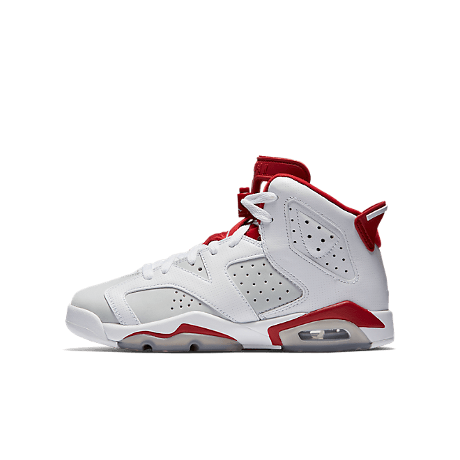 Air Jordan 6 Retro BG Alternate 384665113